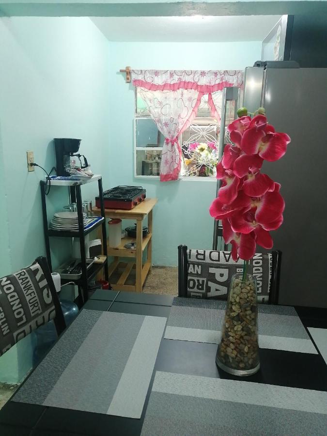 Departamento Cercano Al Aeropuerto T2, A 2 Calles メキシコシティ エクステリア 写真