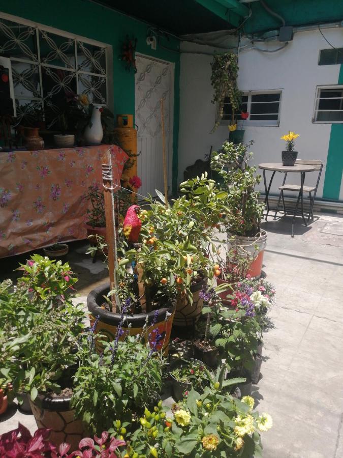Departamento Cercano Al Aeropuerto T2, A 2 Calles メキシコシティ エクステリア 写真